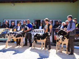 2019_ausstellung polling_470